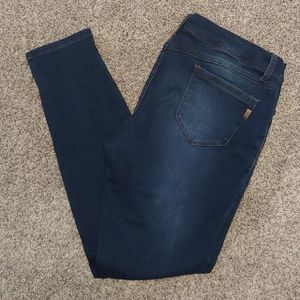 1822 Butter Wynter Skinny Jean